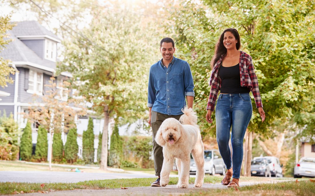 Trying To Find The Best Neighborhood For You? Find It By Using Our Handy Guide!