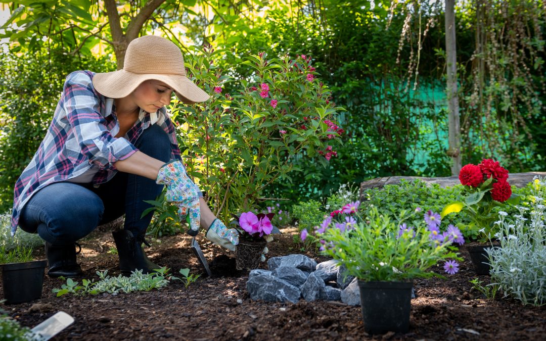Want To Start A Garden? Here Are 10 Steps That May Help You Create Your Very Own Lush, Green Space From Scratch