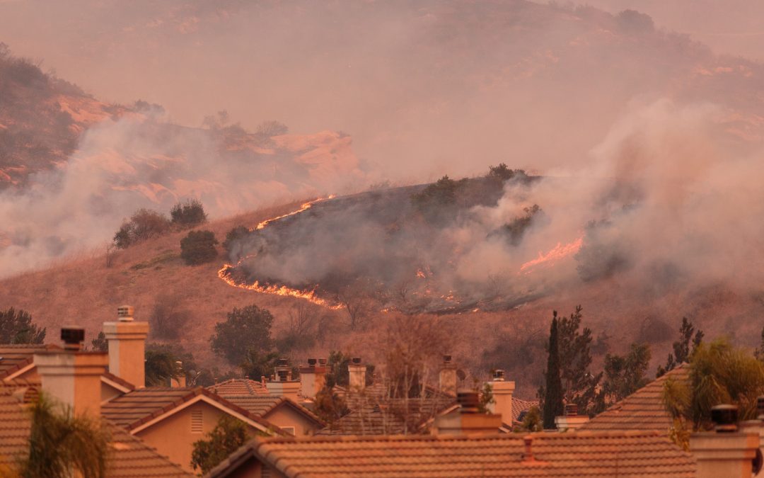 How Can I Prepare for A Wildfire? What To Do Before, While, And After Disaster Strikes