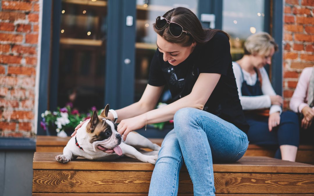 Don’t Want To Leave Your Dog Behind On Your Next Trip? These 10 American Cities Are The Most Pet-Friendly In The United States, According To Yelp